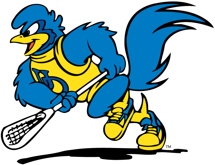 delaware blue hens 1993-pres mascot logo t shirts DIY iron ons v4
